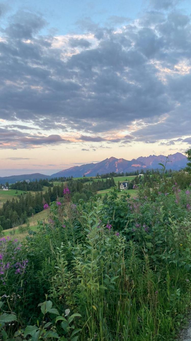 Przy Lesie Villa Bukowina Tatrzanska Bagian luar foto