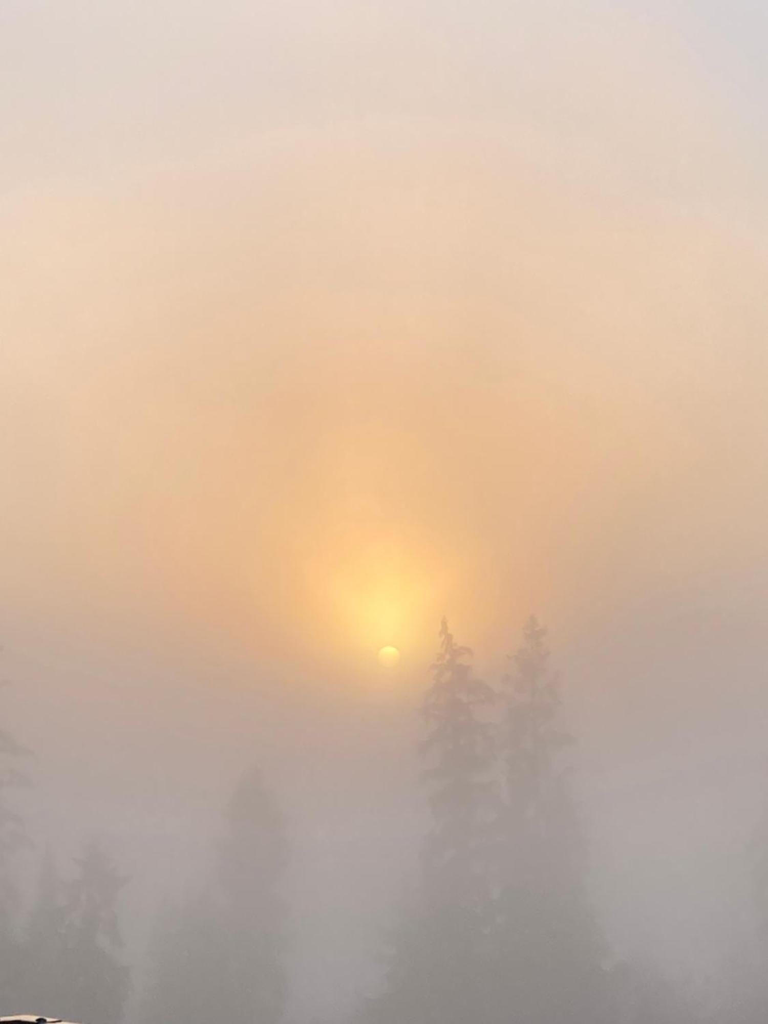 Przy Lesie Villa Bukowina Tatrzanska Bagian luar foto